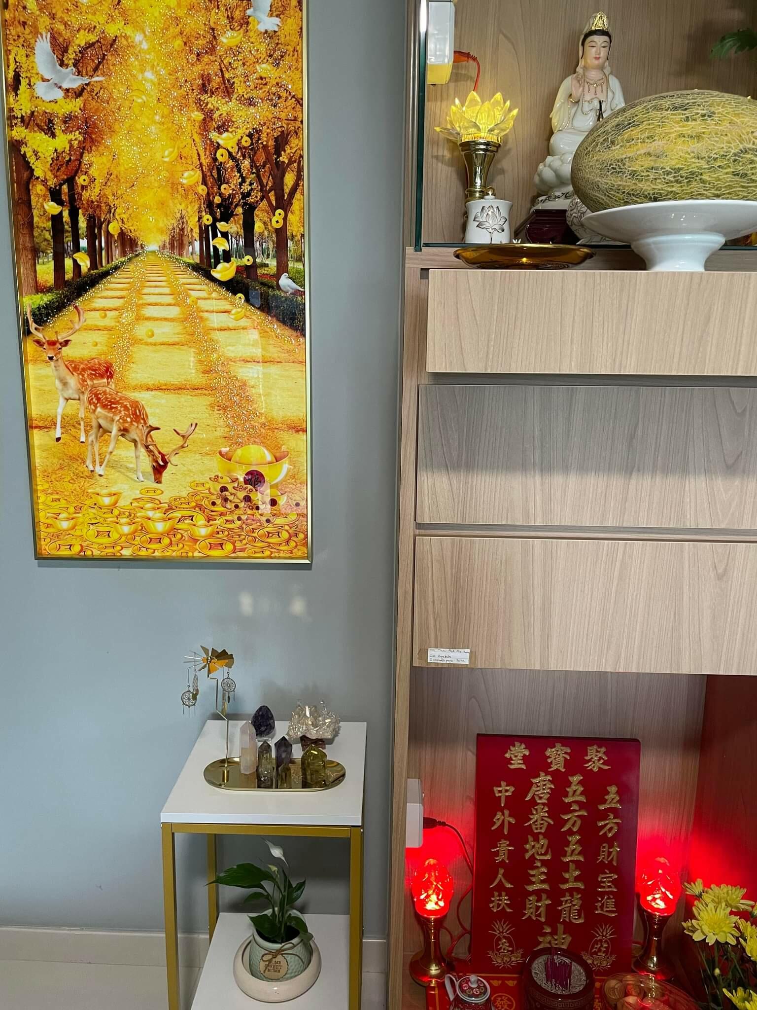 Customer review photo 2